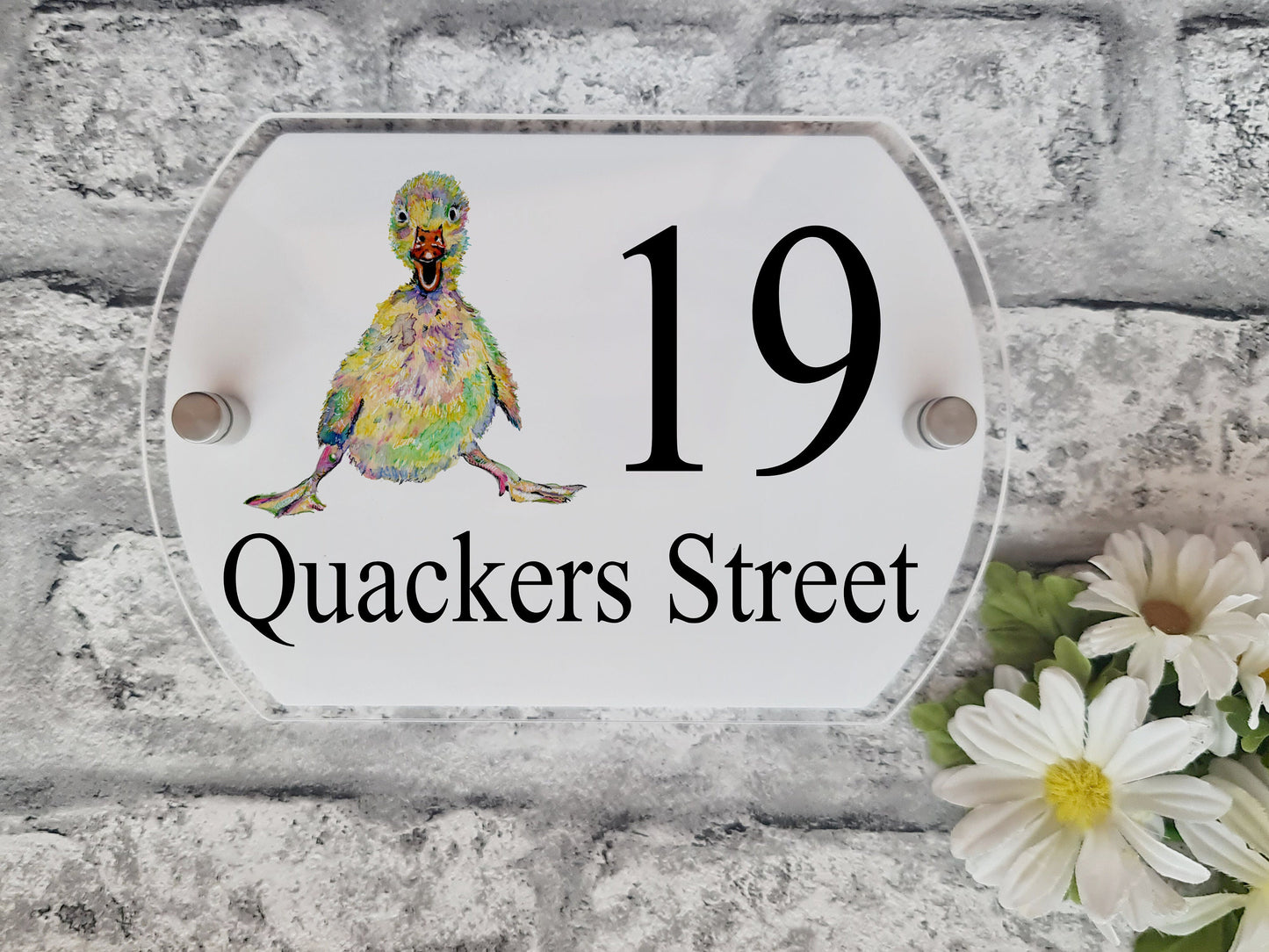 Duck acrylic house sign, door number plaque, Duck house number