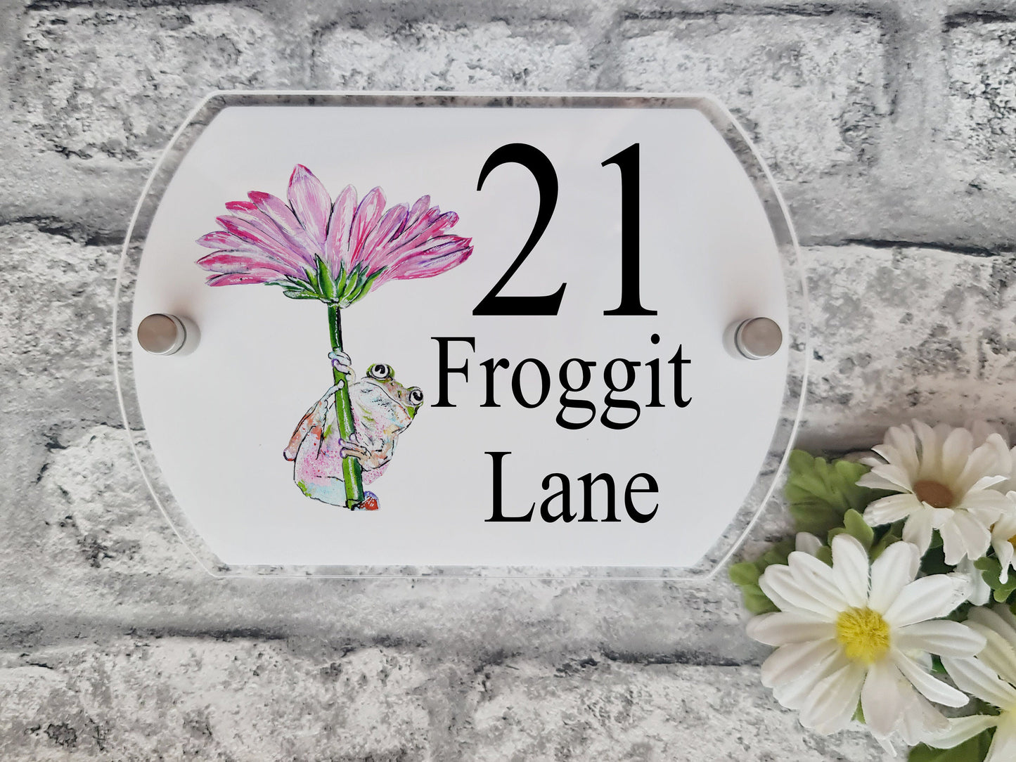 Frog acrylic house sign, door number plaque, Colourful frog house number